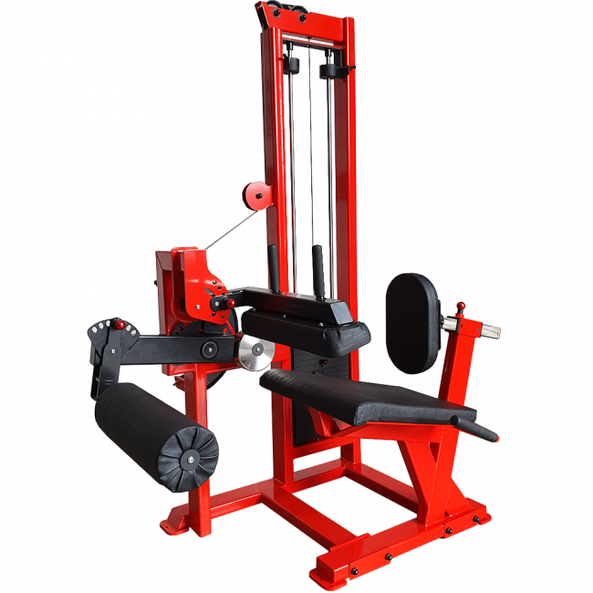 Lying Leg Curl - Watson Gym Equipment